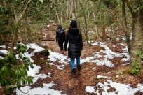 樹海ネイチャーツアー