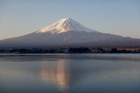 樹海ネイチャーツアー