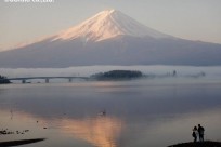 樹海ネイチャーツアー