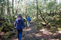 樹海ネイチャーツアー