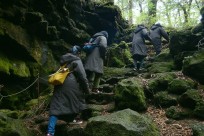 樹海ネイチャーツアー