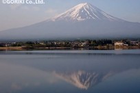 樹海ネイチャーツアー