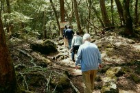 樹海ネイチャーツアー