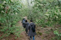 樹海ネイチャーツアー