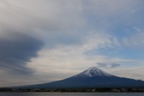 樹海ネイチャーツアー