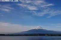 樹海ネイチャーツアー