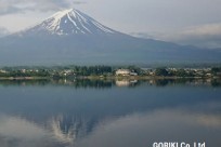 樹海ネイチャーツアー