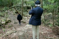 樹海ネイチャーツアー