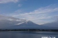 樹海ネイチャーツアー