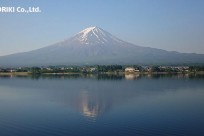 樹海ネイチャーツアー