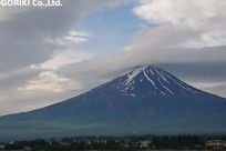 樹海ネイチャーツアー