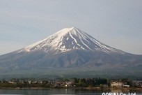 樹海ネイチャーツアー