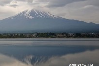 樹海ネイチャーツアー
