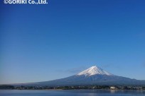 樹海ネイチャーツアー