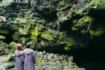 樹海ネイチャーツアー