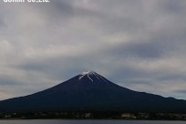 樹海ネイチャーツアー
