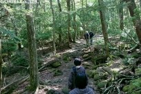 樹海ネイチャーツアー