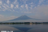 樹海ネイチャーツアー