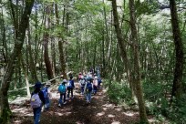 東京都淑徳小学校様（樹海ネイチャートレイル）