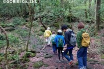 樹海ネイチャーツアー