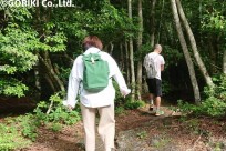 樹海ネイチャーツアー