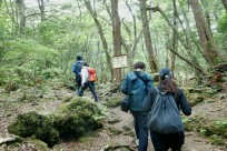 樹海ネイチャーツアー（取材対応）