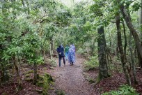 樹海ネイチャーツアー