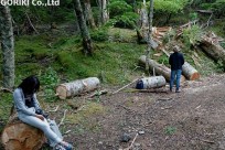 星のや富士様（脱デジ～魂を清める～）取材対応