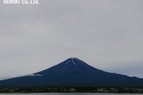 樹海ネイチャーツアー（取材対応）