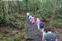 樹海ネイチャーツアー