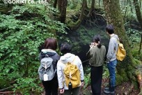 樹海ネイチャーツアー