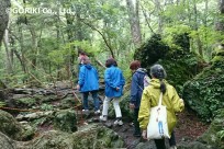 樹海ネイチャーツアー
