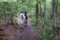 樹海ネイチャーツアー