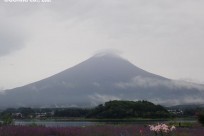 樹海ネイチャーツアー