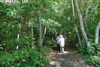 樹海ネイチャーツアー