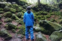 樹海ネイチャーツアー