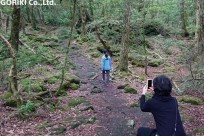 樹海ネイチャーツアー（取材対応）