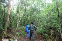 樹海ネイチャーツアー