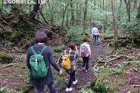 樹海ネイチャーツアー