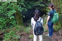 樹海ネイチャーツアー