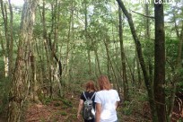 樹海ネイチャーツアー