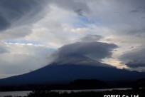 樹海ネイチャーツアー
