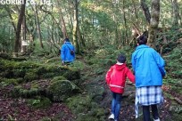 樹海ネイチャーツアー