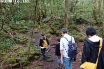 樹海ネイチャーツアー