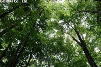 樹海ネイチャーツアー