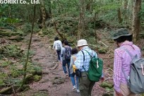 樹海ネイチャーツアー