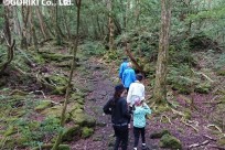 樹海ネイチャーツアー