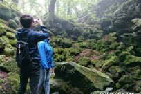 樹海ネイチャーツアー