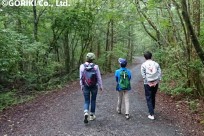 樹海ネイチャーツアー