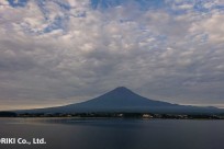 樹海ネイチャーツアー